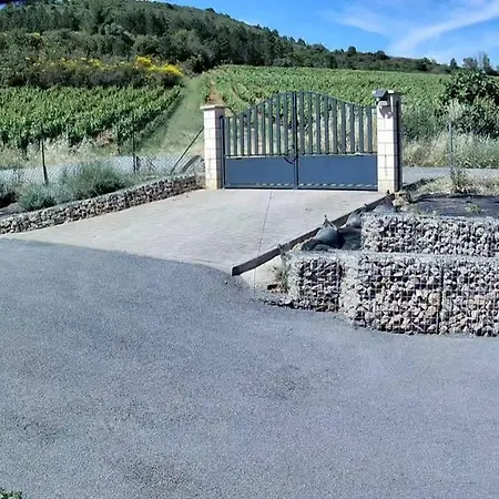 Maison Des Levriers Met Zwemvijver En Airco In Katharenland Luc-sur-Aude