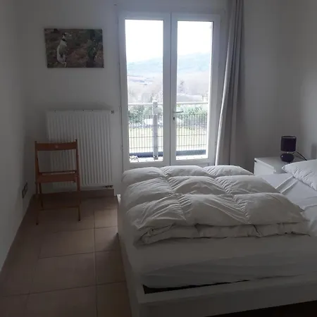 Maison Des Levriers Met Zwemvijver En Airco In Katharenland Villa