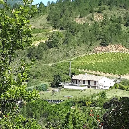 Villa Maison Des Levriers Met Zwemvijver En Airco In Katharenland