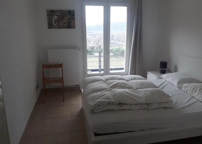Maison Des Levriers Met Zwemvijver En Airco In Katharenland Villa