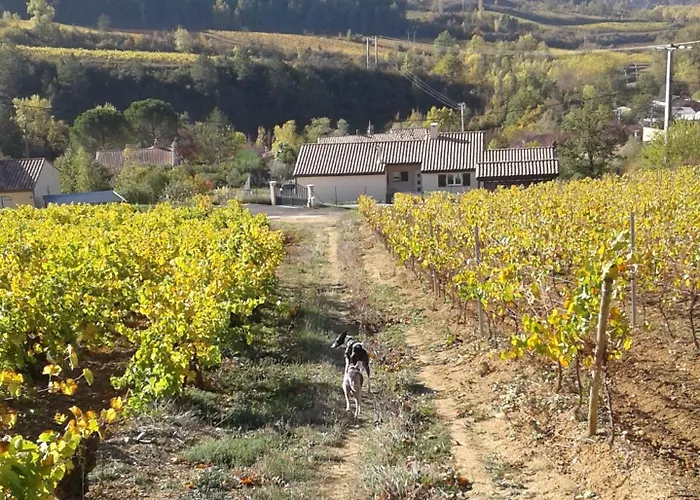 Villa Maison Des Levriers Met Zwemvijver En Airco In Katharenland Luc-sur-Aude